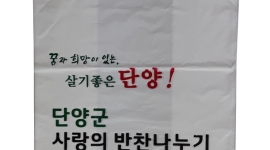 비닐